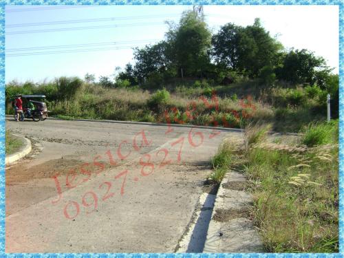 FOR SALE: Lot / Land / Farm Rizal 3