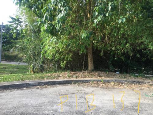 FOR SALE: Lot / Land / Farm Cebu > Cebu City