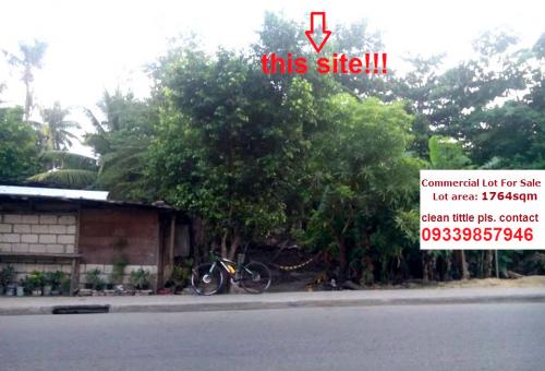 FOR SALE: Lot / Land / Farm Cebu