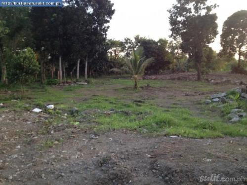 FOR SALE: Lot / Land / Farm Quezon > Lucena 1