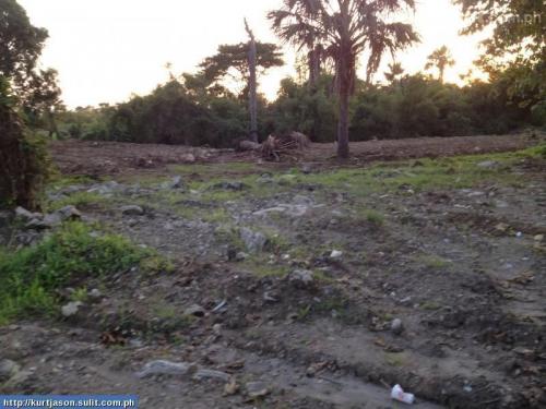 FOR SALE: Lot / Land / Farm Quezon > Lucena 2