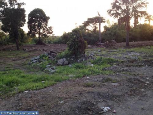 FOR SALE: Lot / Land / Farm Quezon > Lucena 6