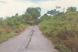 FOR SALE: Lot / Land / Farm Quezon