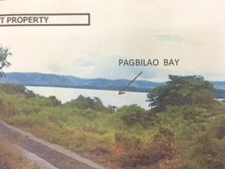 FOR SALE: Lot / Land / Farm Quezon 4