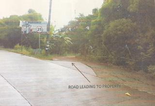 FOR SALE: Lot / Land / Farm Quezon 9