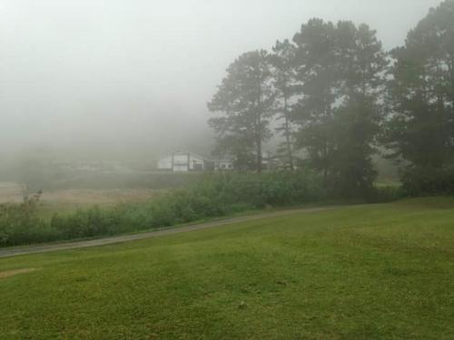 FOR SALE: Lot / Land / Farm Benguet > Baguio 4