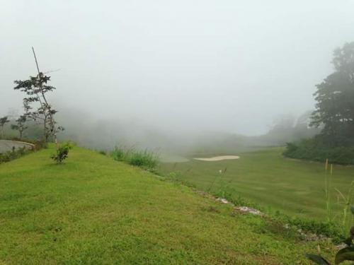 FOR SALE: Lot / Land / Farm Benguet > Baguio 3