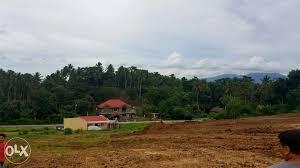 FOR SALE: Lot / Land / Farm Albay > Ligao 1