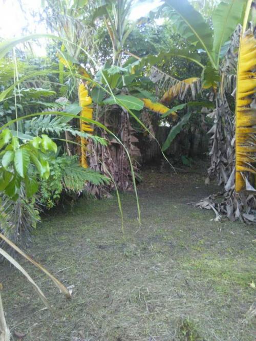 FOR SALE: House Negros Occidental 7