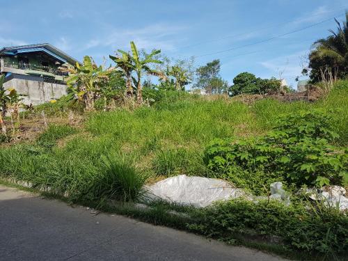 FOR SALE: Lot / Land / Farm Rizal 4