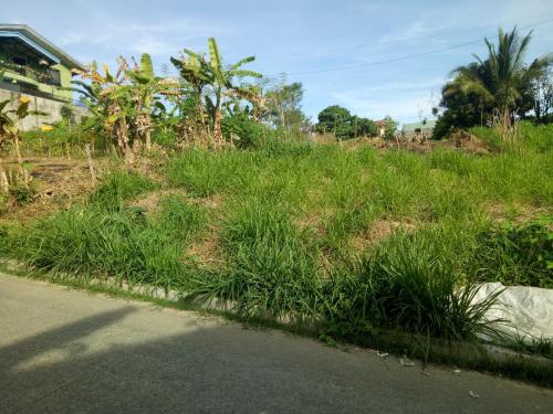 FOR SALE: Lot / Land / Farm Rizal 5