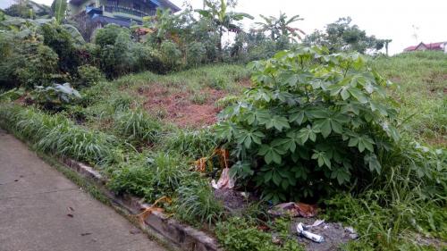FOR SALE: Lot / Land / Farm Rizal 6