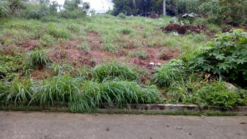 FOR SALE: Lot / Land / Farm Rizal 7