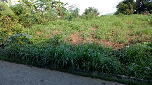 FOR SALE: Lot / Land / Farm Rizal 8