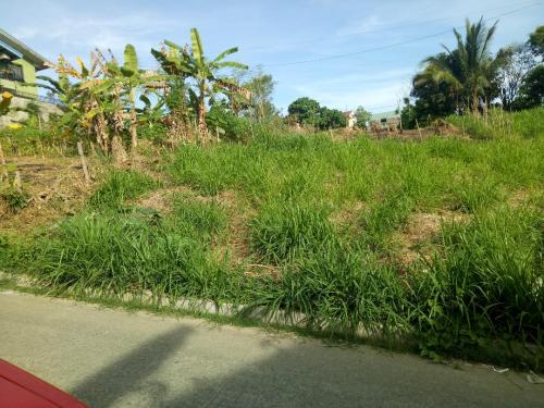 FOR SALE: Lot / Land / Farm Rizal 10