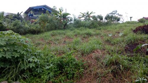FOR SALE: Lot / Land / Farm Rizal 11
