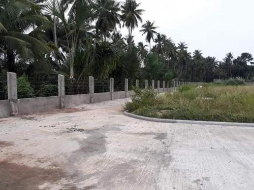 FOR SALE: Lot / Land / Farm Cebu