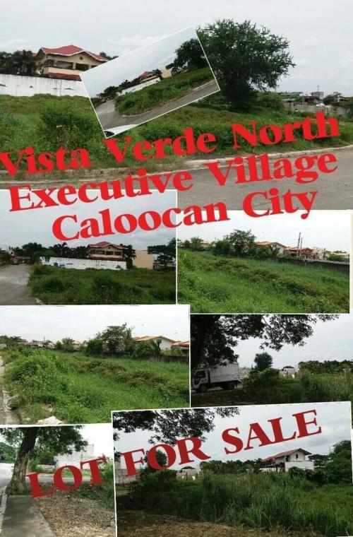 FOR SALE: Lot / Land / Farm Manila Metropolitan Area > Caloocan 6