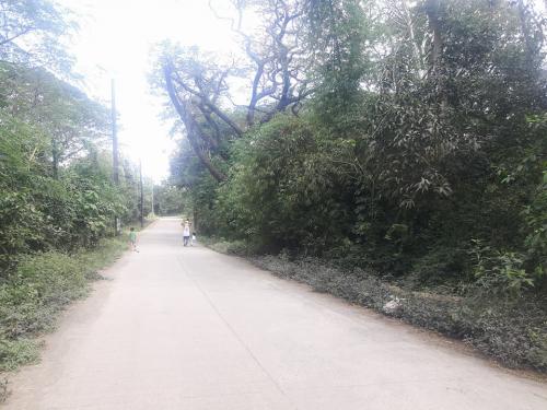 FOR SALE: Lot / Land / Farm Rizal