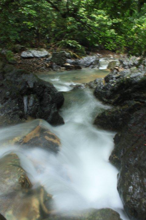 FOR SALE: Lot / Land / Farm Rizal