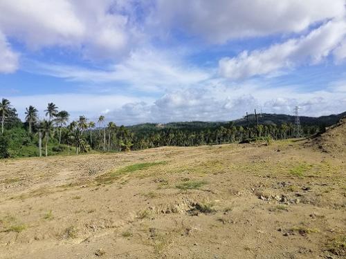 FOR SALE: Lot / Land / Farm Albay