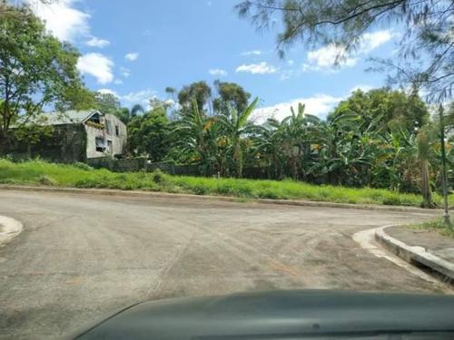 FOR SALE: Lot / Land / Farm Rizal 6