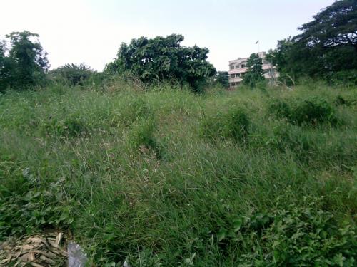 FOR SALE: Lot / Land / Farm Manila Metropolitan Area > Quezon