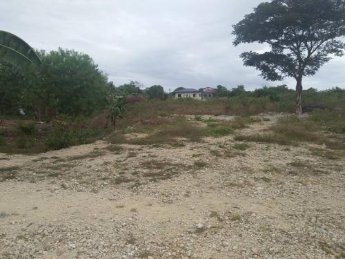 FOR SALE: House Cebu > Mactan 2