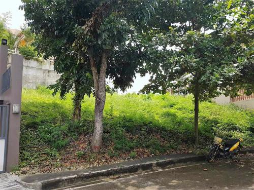 FOR SALE: Lot / Land / Farm Cebu > Other areas 4