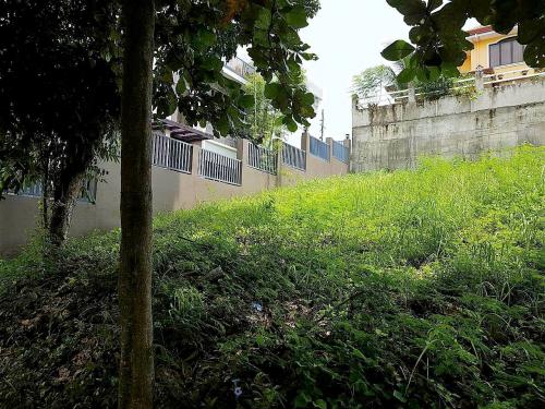 FOR SALE: Lot / Land / Farm Cebu > Other areas 5