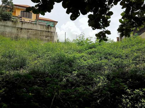 FOR SALE: Lot / Land / Farm Cebu > Other areas 6