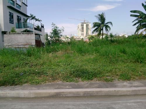 FOR SALE: Lot / Land / Farm Manila Metropolitan Area > Quezon 2