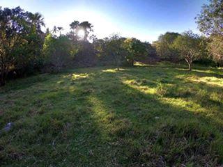 FOR SALE: Lot / Land / Farm Cebu > Other areas 5