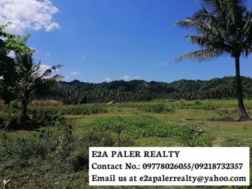 FOR SALE: Lot / Land / Farm Albay