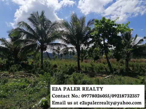 FOR SALE: Lot / Land / Farm Albay 1