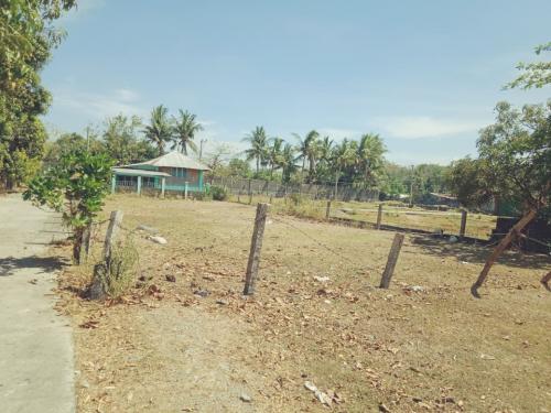 FOR SALE: Lot / Land / Farm Pangasinan 1