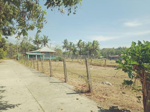 FOR SALE: Lot / Land / Farm Pangasinan 2