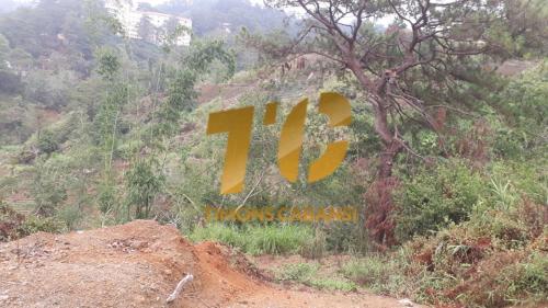 FOR SALE: Lot / Land / Farm Benguet > Baguio