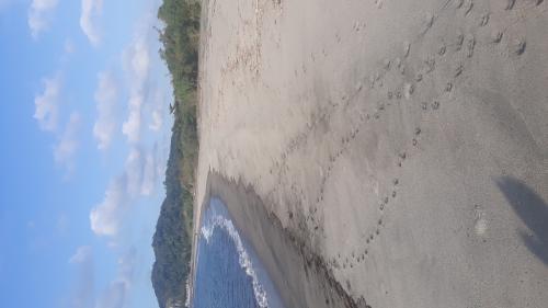 beach front property for sale La Union