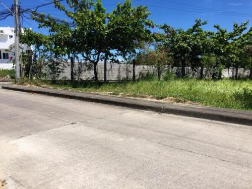 FOR SALE: Lot / Land / Farm Cebu