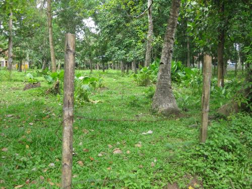 FOR SALE: Lot / Land / Farm Zamboanga del Norte > Dipolog