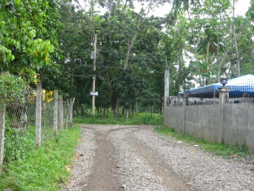 FOR SALE: Lot / Land / Farm Zamboanga del Norte > Dipolog 1