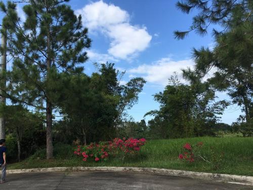 FOR SALE: Lot / Land / Farm Cavite > Silang 5