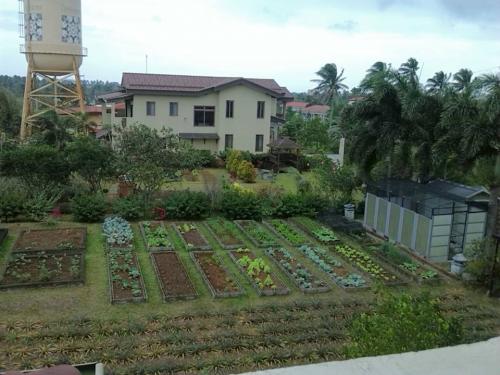 FOR SALE: Lot / Land / Farm Cavite > Silang 8