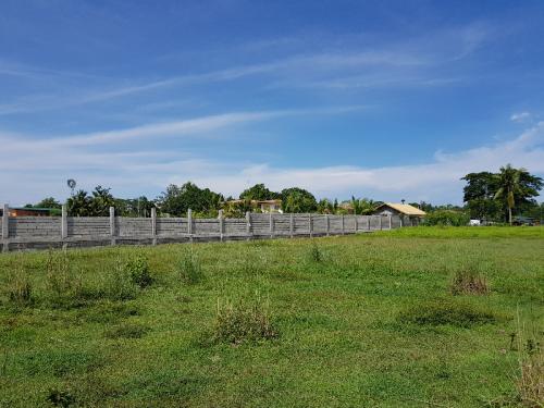 FOR SALE: Lot / Land / Farm Pangasinan