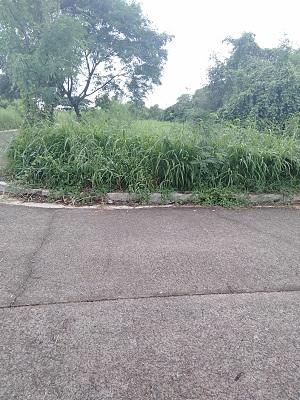 FOR SALE: Lot / Land / Farm Rizal > Cainta 2