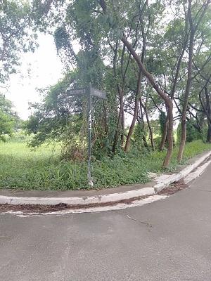 FOR SALE: Lot / Land / Farm Rizal > Cainta 3