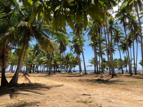 FOR SALE: Lot / Land / Farm Batangas > Other areas