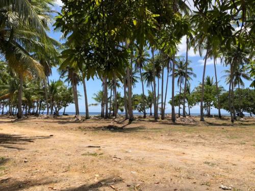 FOR SALE: Lot / Land / Farm Batangas > Other areas 1