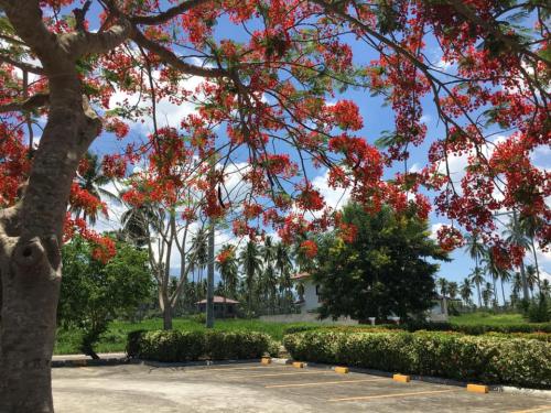 FOR SALE: Lot / Land / Farm Laguna > San Pablo City 2
